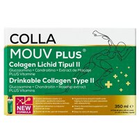 Collamouv Plus, 14 fiole x 25 ml, Deutsche Heilmittel GmbH