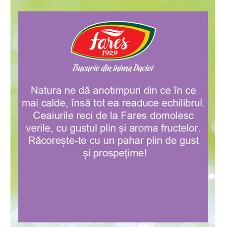 Ceai rece cu fructul pasiunii si mandarine, 12 plicuri, Fares 621008