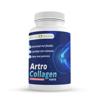 Artro Collagen Forte, 30 capsule, Doza de Sanatate