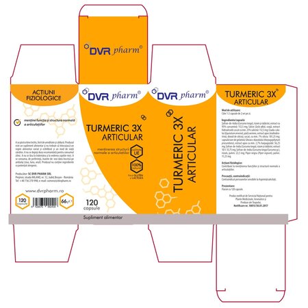 Turmeric 3X Articular, 120 capsule, Dvr Pharm 703209