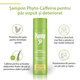 Sampon pentru par vopsit si deteriorat Phyto-Caffeine Plantur 39, 250 ml, Dr. Kurt Wolff 721624