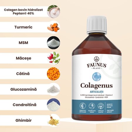 Colagen lichid hidrolizat pentru muschi si ligamente Colagenus Articulatii, 500 ml, Faunus Plant 739293