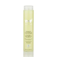 Sampon pentru caini Yuup Home Insectifug, 250 ml, Cosmetica Veneta