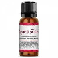 Ulei esential pur de scortisoara, 10 ml, Steaua Divina