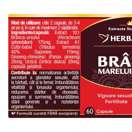 Branca Marelui Urs, 60 capsule, Herbagetica 688272