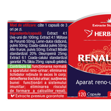 Renal Forte, 120 capsule, Herbagetica 688835