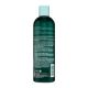 Sampon tonifiant cu ulei din arbore de ceai Tea Tree Oil, 355 ml, Hask 583880