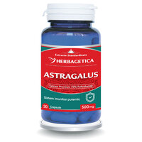 Astragalus, 500 mg, 30 capsule, Herbagetica