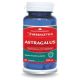 Astragalus, 500 mg, 30 capsule, Herbagetica 688704