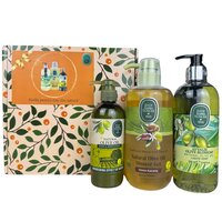 Pachet Olive Blossom Gel de dus 600 ml + Sapun lichid 500 ml + Lotiune de maini si de corp 250 ml, Eyup Sabri Tuncer