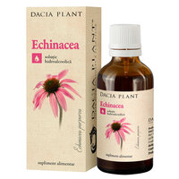 Tinctura de Echinacea, 50 ml, Dacia Plant