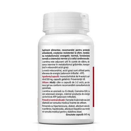 N-Acetyl L-Carnitine, 550 mg, 60 capsule, Zenyth 623005