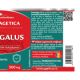 Astragalus, 500 mg, 60 capsule, Herbagetica 688707