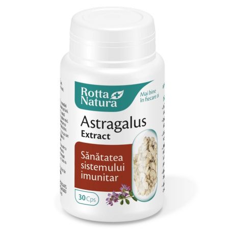 Astragalus Extract, 30 capsule, Rotta Natura