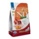 Hrana uscata cu pui, dovleac si rodie pentru caini N&D Pumpkin Starter Puppy, 2500 g, Farmina 700212