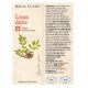 Tinctura de lemn dulce, 50 ml, Dacia Plant 593258