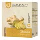 Ceai de ghimbir, 50 g, Dacia Plant 736812