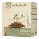 Ceai de chimen, 100 g, Dacia Plant 736459