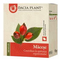 Ceai de macese, 50 g, Dacia Plant
