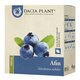 Ceai de afin, 50 g, Dacia Plant 731625