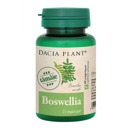 Boswellia, 60 comprimate, Dacia Plant