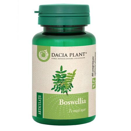 Boswellia, 60 comprimate, Dacia Plant
