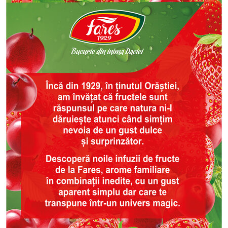 Ceai cu capsuni si merisoare Clipe Magice, 20 plicuri, Fares 701137