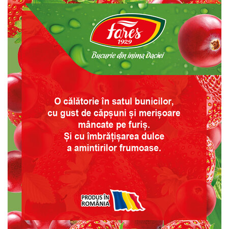 Ceai cu capsuni si merisoare Clipe Magice, 20 plicuri, Fares 701136