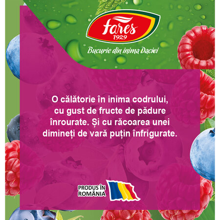 Ceai cu fructe de padure Clipe Magice, 20 plicuri, Fares 701031