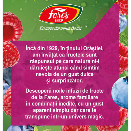 Ceai cu fructe de padure Clipe Magice, 20 plicuri, Fares 701032