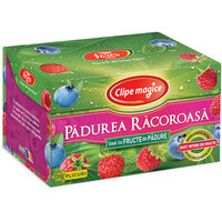Ceai cu fructe de padure Clipe Magice, 20 plicuri, Fares