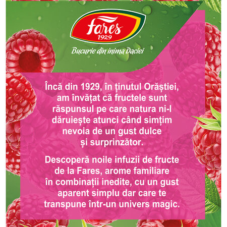 Ceai cu zmeura si ceai alb Clipe Magice, 20 plicuri, Fares 701180