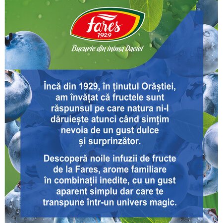 Ceai cu afine Clipe Magice, 20 plicuri, Fares 701071