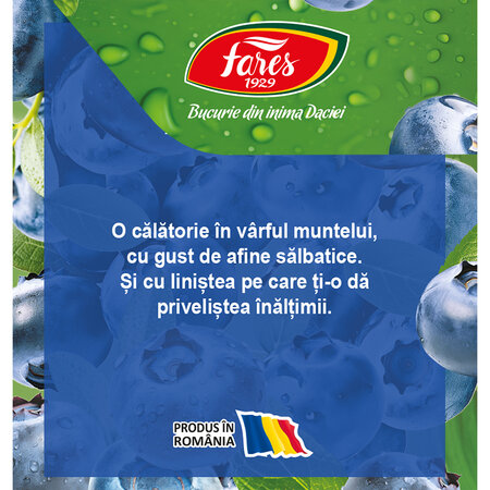 Ceai cu afine Clipe Magice, 20 plicuri, Fares 701070