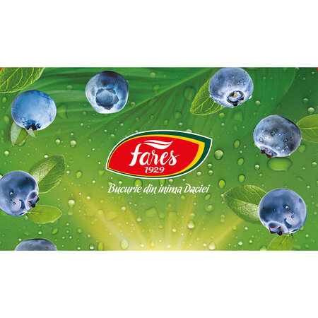 Ceai cu afine Clipe Magice, 20 plicuri, Fares 701072