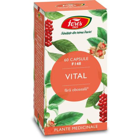 Vital, 60 capsule, Fares