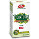 Plantusin Tuse Productiva, 30 capsule, Fares 614487