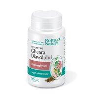 Extract de Gheara Diavolului, 30 capsule, Rotta Natura