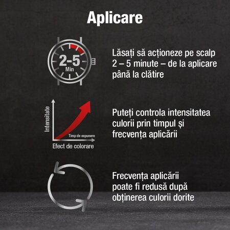 Sampon cu cafeina pentru parul grizonat Grey Attack, 200 ml, Alpecin 721352