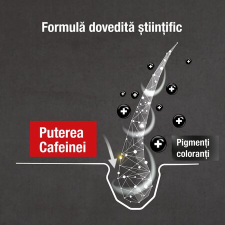 Sampon cu cafeina pentru parul grizonat Grey Attack, 200 ml, Alpecin 721351