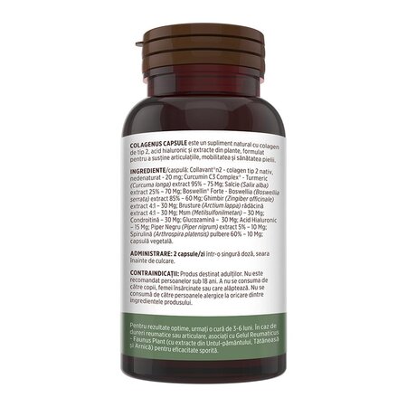 Colagen tip 2 pentru articulatii, oase si piele Colagenus, 60 capsule, Faunus Plant 739318