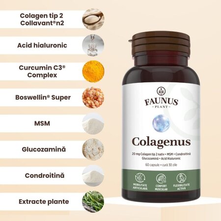 Colagen tip 2 pentru articulatii, oase si piele Colagenus, 60 capsule, Faunus Plant 739319