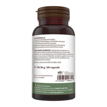Colagen tip 2 pentru articulatii, oase si piele Colagenus, 60 capsule, Faunus Plant 739317
