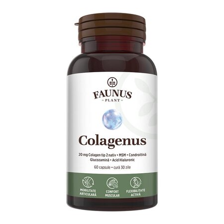 Colagen tip 2 pentru articulatii, oase, piele si par Colagenus, 60 capsule, Faunus Plant