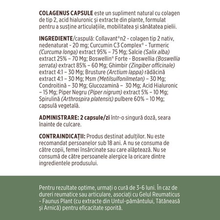 Colagen tip 2 pentru articulatii, oase si piele Colagenus, 60 capsule, Faunus Plant 739321