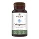 Colagen tip 2 pentru articulatii, oase si piele Colagenus, 60 capsule, Faunus Plant 739314