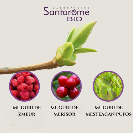 Menopauza Mix 3 Muguri Bio, 30 ml, Santarome 600076