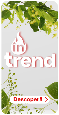 În Trend