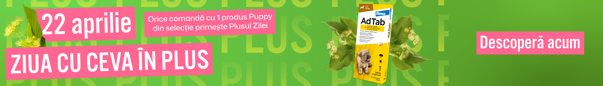 ziua cu ceva in plus VET