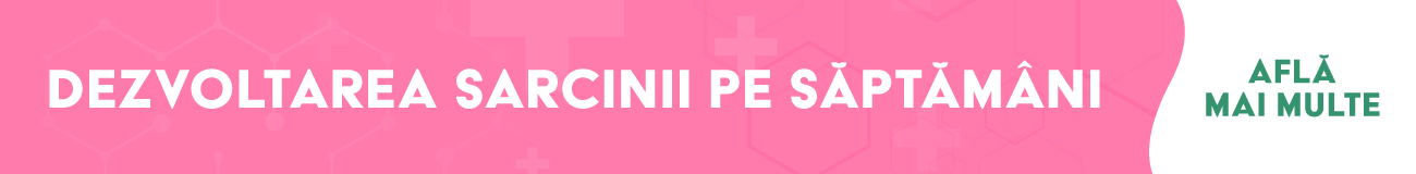 Dezvoltarea sarcinii pe saptamani